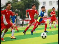 巴西VS埃及直播_巴西VS埃及免费高清直播_韩国状态出色，墨西哥虽强势仍需注意，巴西状态不俗埃及特点鲜明